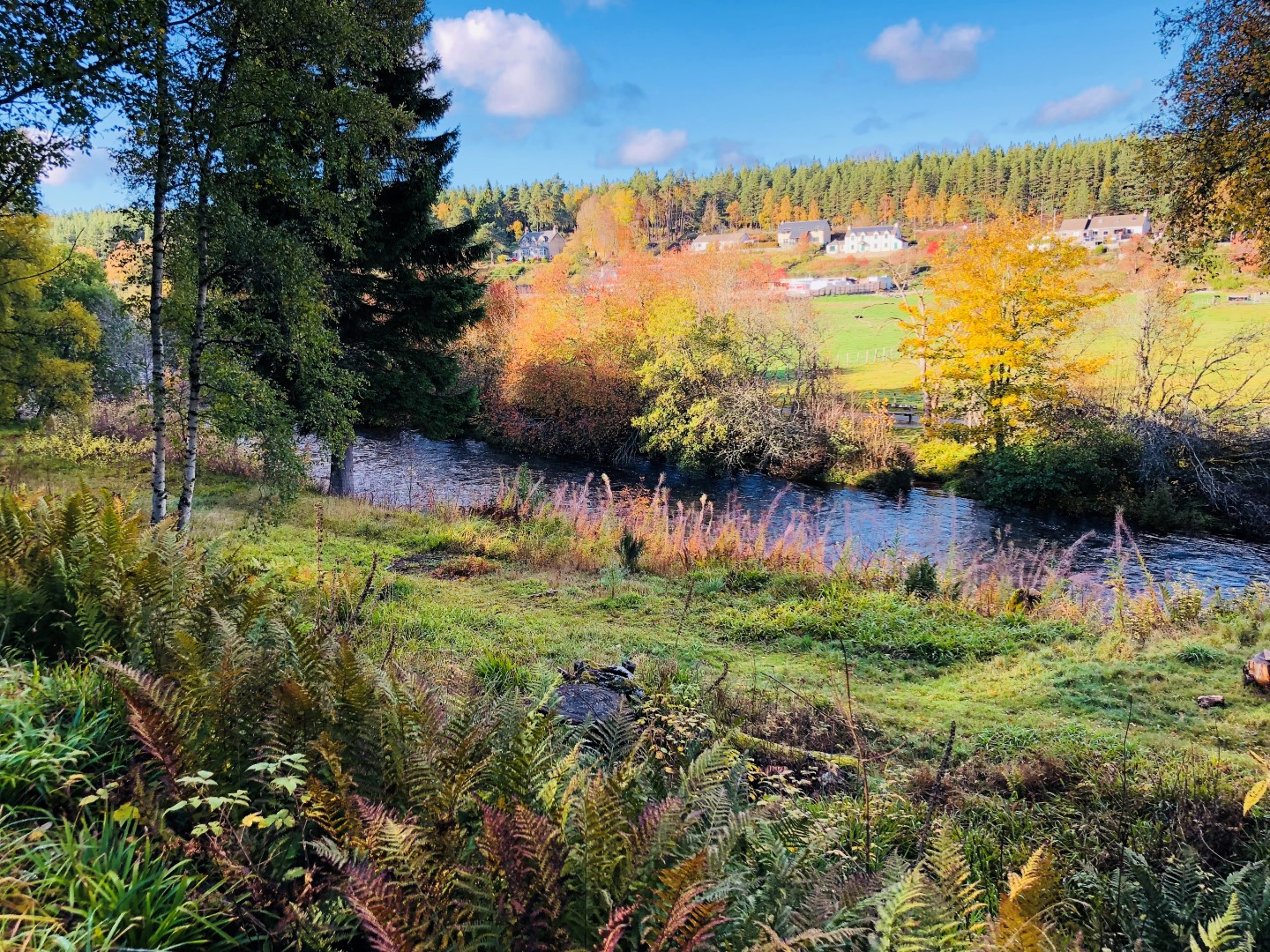doireteile_scenery1.jpg doireteile_scenery1.jpg