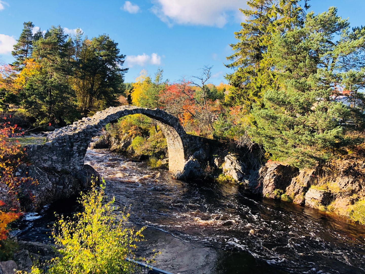 doireteile_scenery2.jpg doireteile_scenery2.jpg