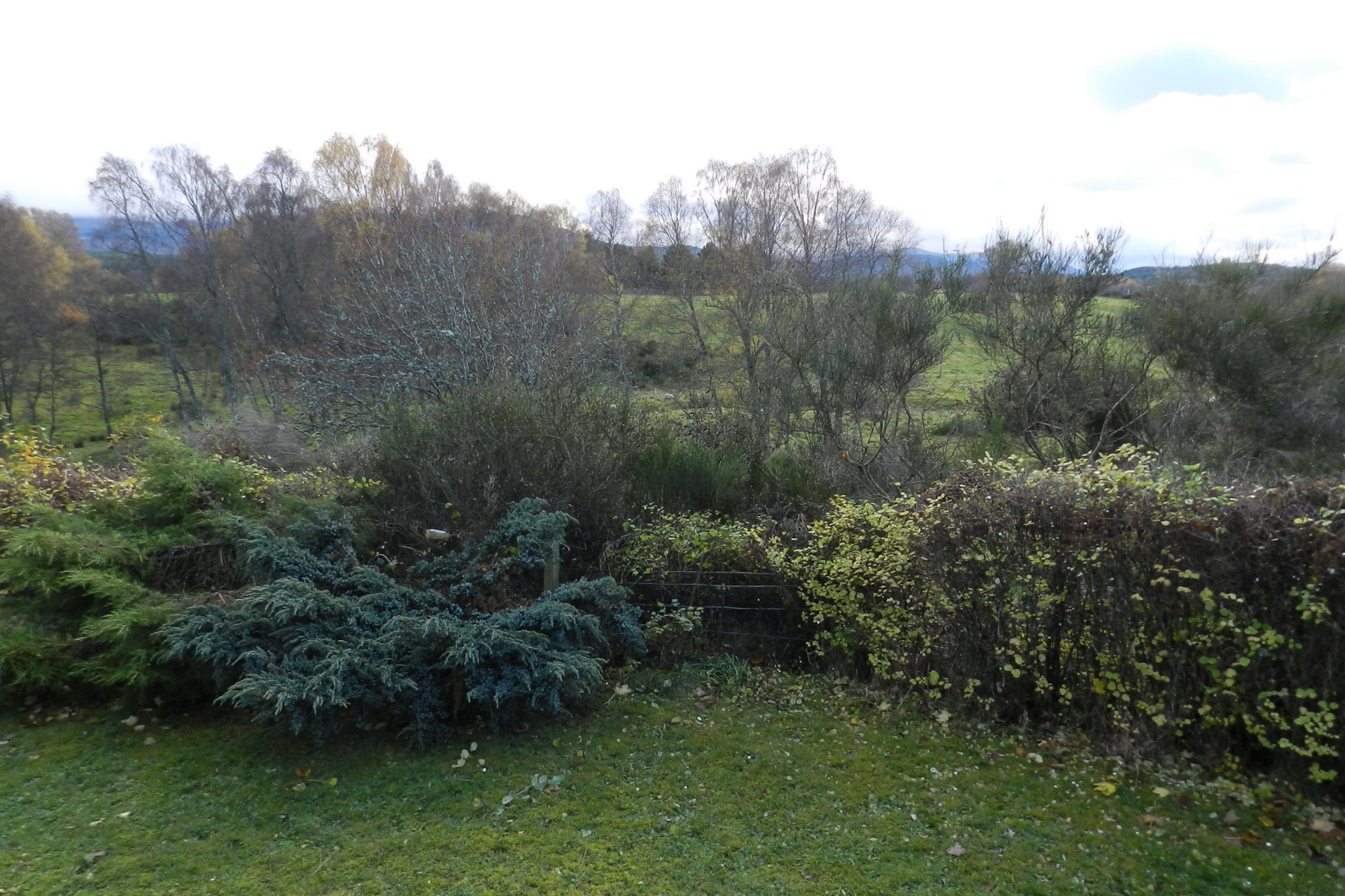 lochdhu_garden2.jpg lochdhu_garden2.jpg