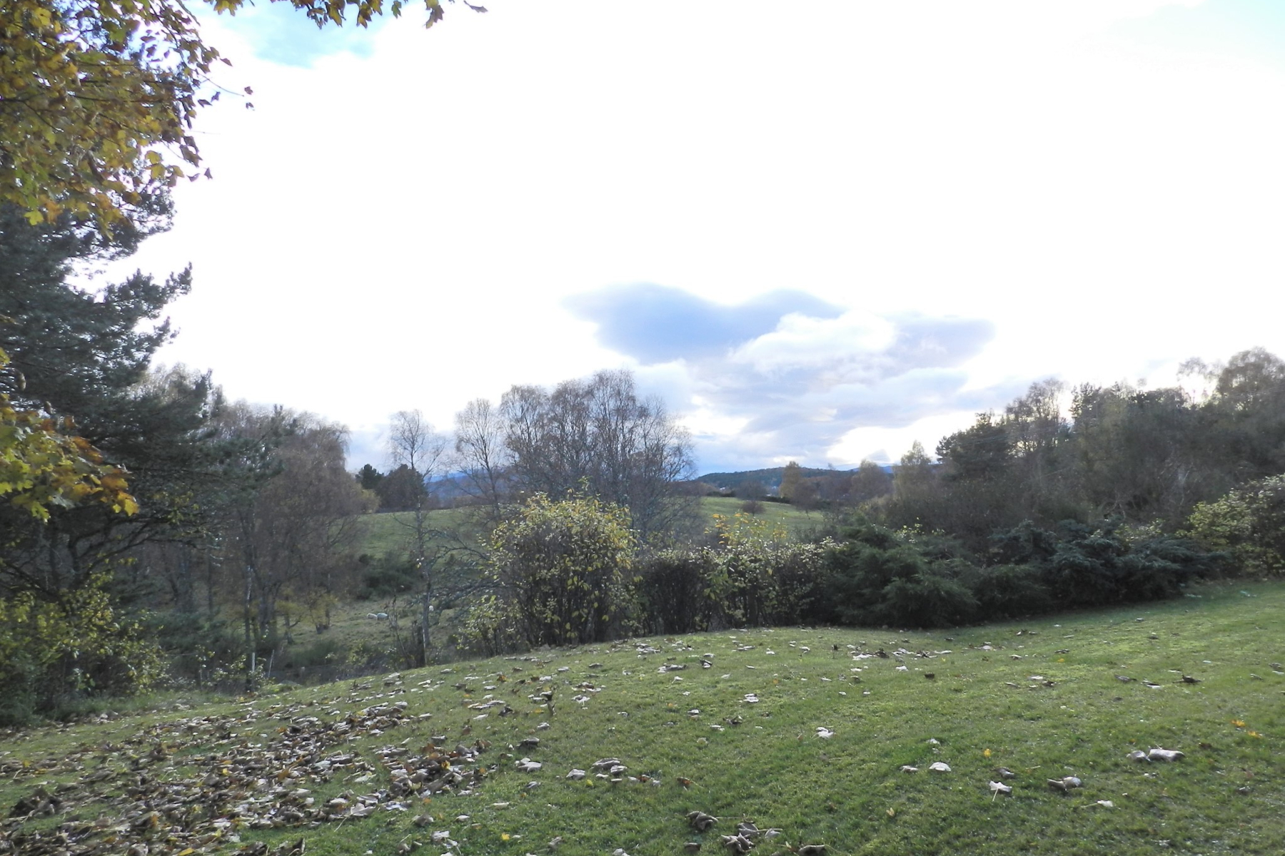 lochdhu_garden.jpg lochdhu_garden.jpg