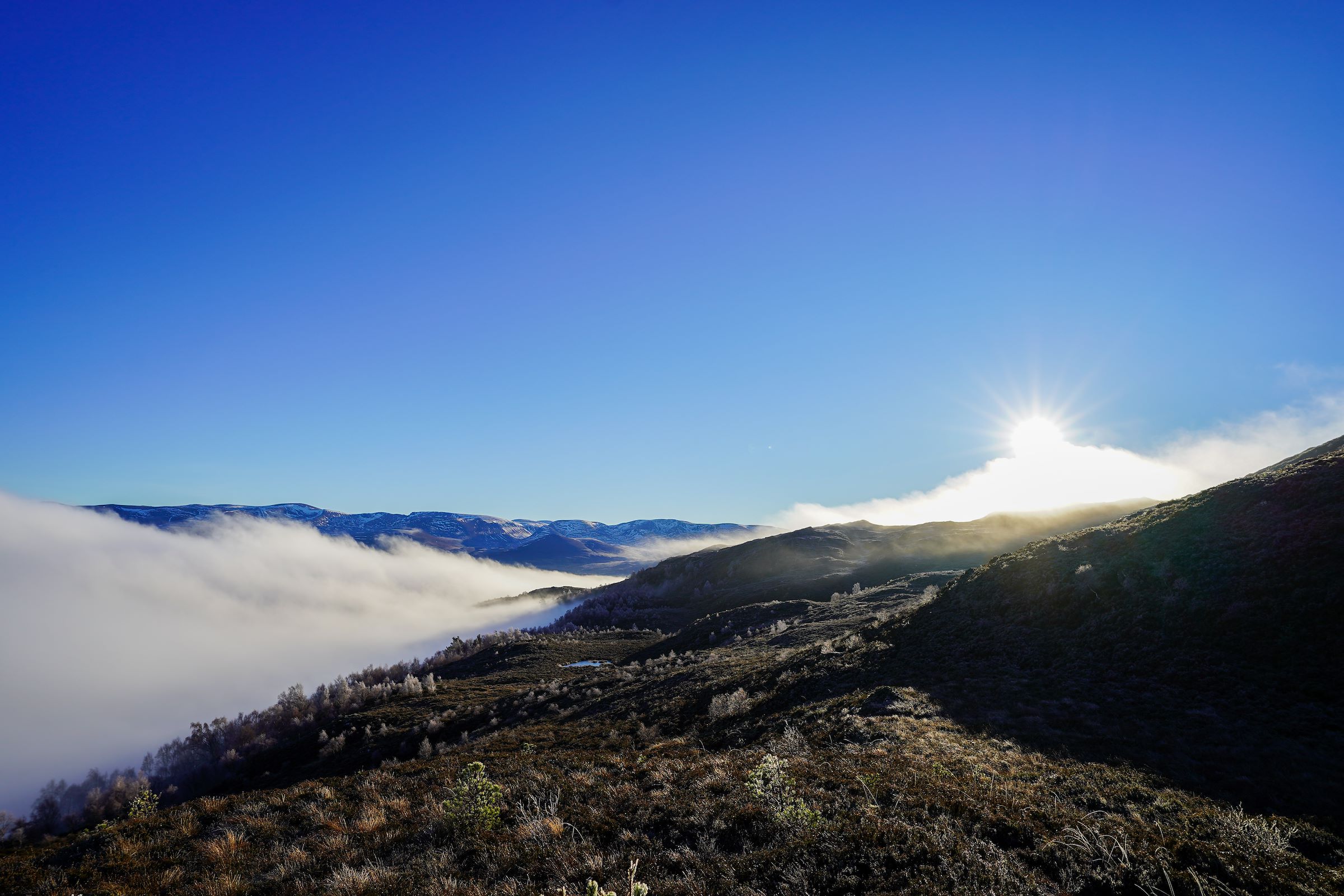 Highland Property Services Cairngorms and Highland Property Sales